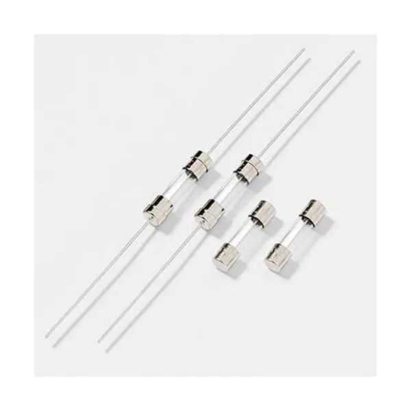 5x20mm Fast-Acting Fuse – 0.3A, 250V