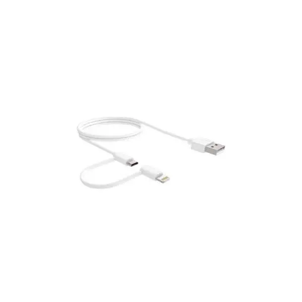 6-Foot 2-in-1 Charging Cable: Lightning + Micro-USB Sync & Power
