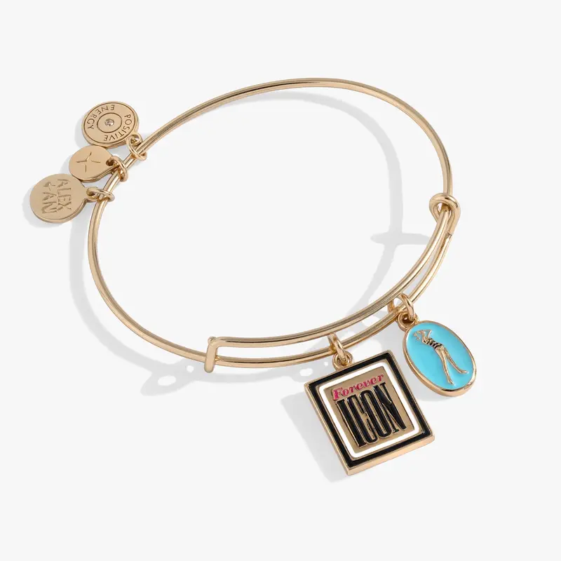 Barbie™ Duo Charm Bangle – Vintage-Themed Design