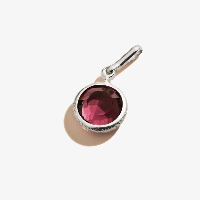February Birthstone Charm: Genuine Amethyst Accent