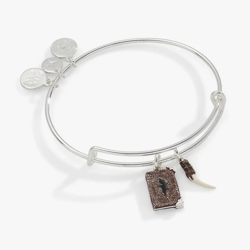 Harry Potter Diary & Basilisk Fang Bangle
