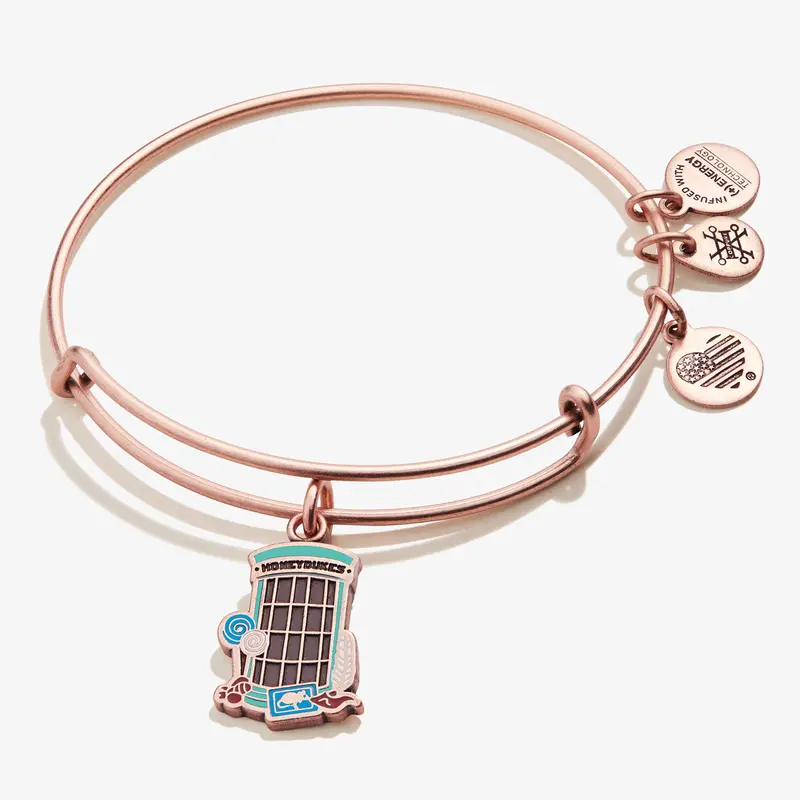 Harry Potter Honeydukes Candy Shop Charm Bangle