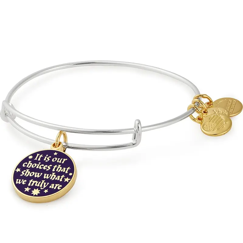 Harry Potter ‘Our Choices Define Us’ Charm Bangle