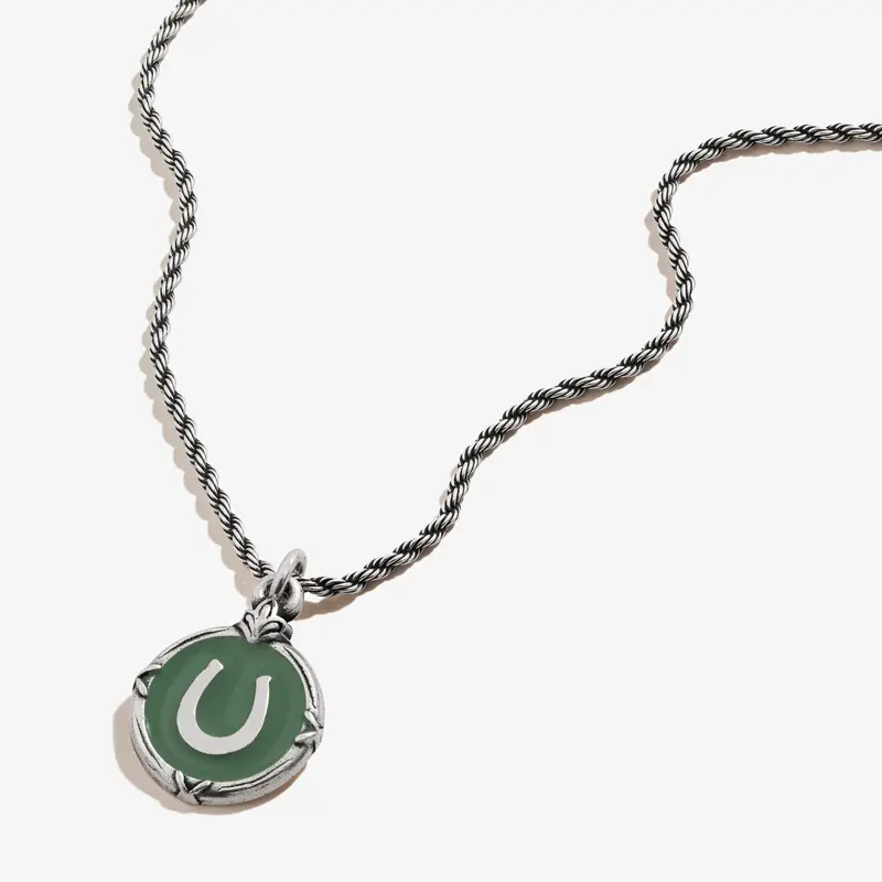 Lucky Horseshoe Charm Necklace – Symbolic Token of Fortune