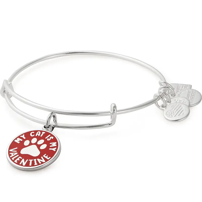 ‘My Cat Is My Valentine’ Playful Charm Bangle