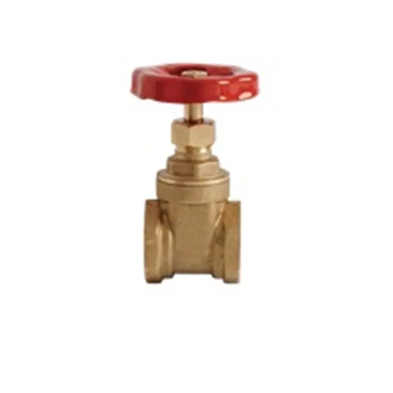 Showy 2-Inch Brass Gate Valve for Heavy-Duty Shutoff Applications | Model SHOWY-5096
