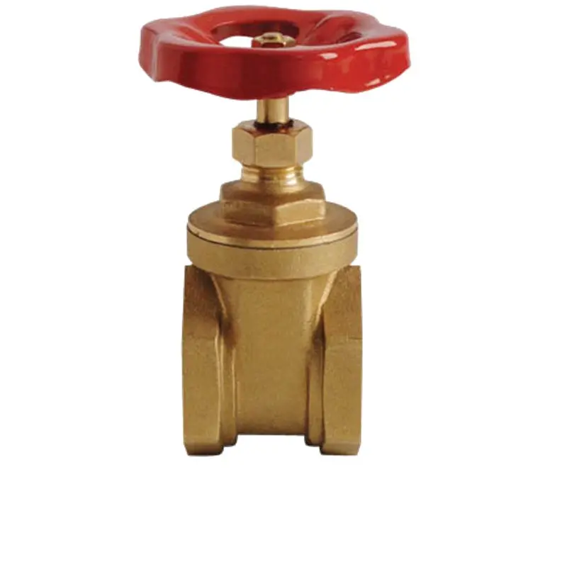 Showy Brass Gate Valve – 1-1/4 Inch Threaded, Heavy-Duty Construction, Model SHOWY-5094