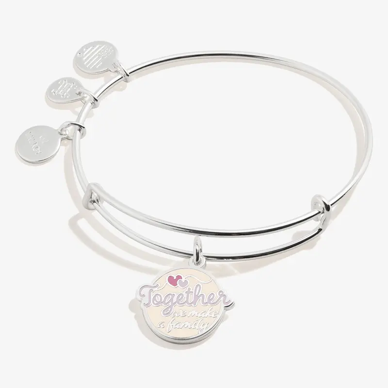 Together We Make a Family Interlocking Charm Bracelet