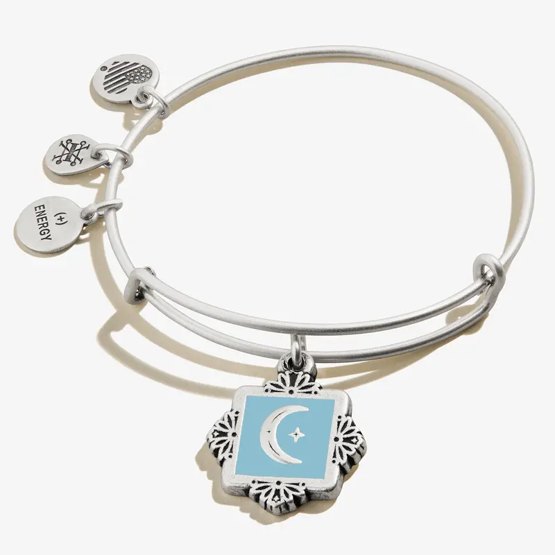Wisdom Moon Charm Bangle